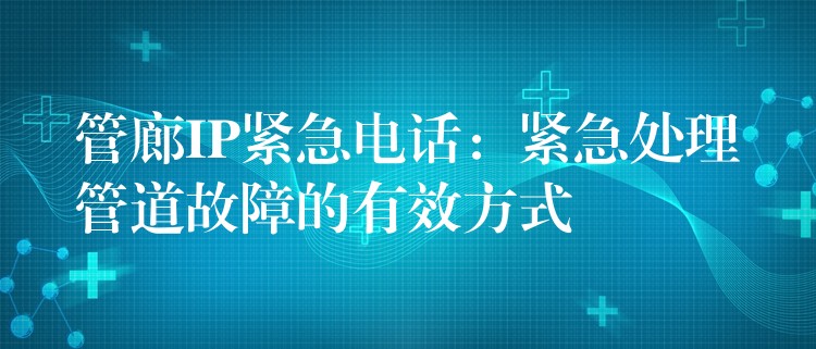  管廊IP紧急电话：紧急处理管道故障的有效方式