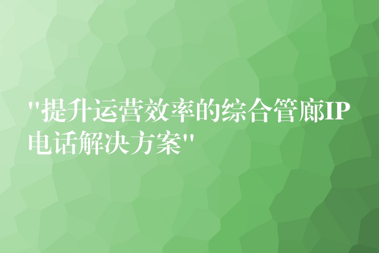 “提升运营效率的综合管廊IP电话解决方案”