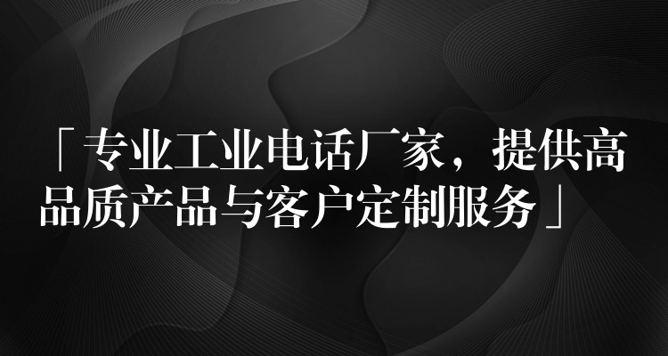 「专业工业电话厂家，提供高品质产品与客户定制服务」