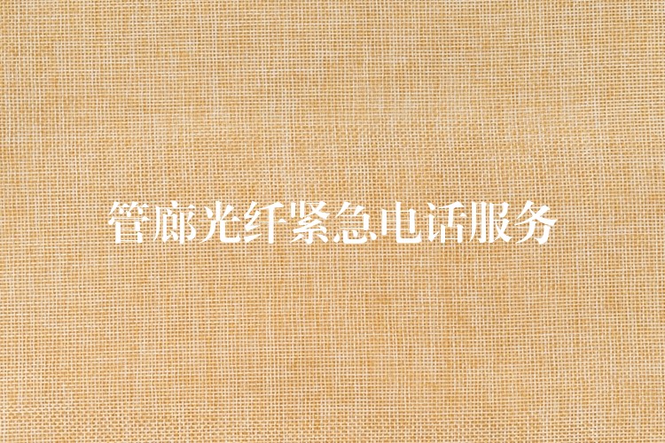 管廊光纤紧急电话服务